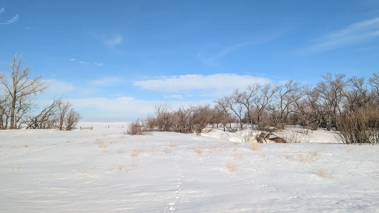 Snowy prairie and trees near Highway 15, March 2026