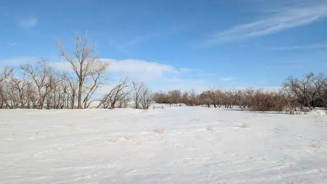 Snowy prairie and trees near Highway 15